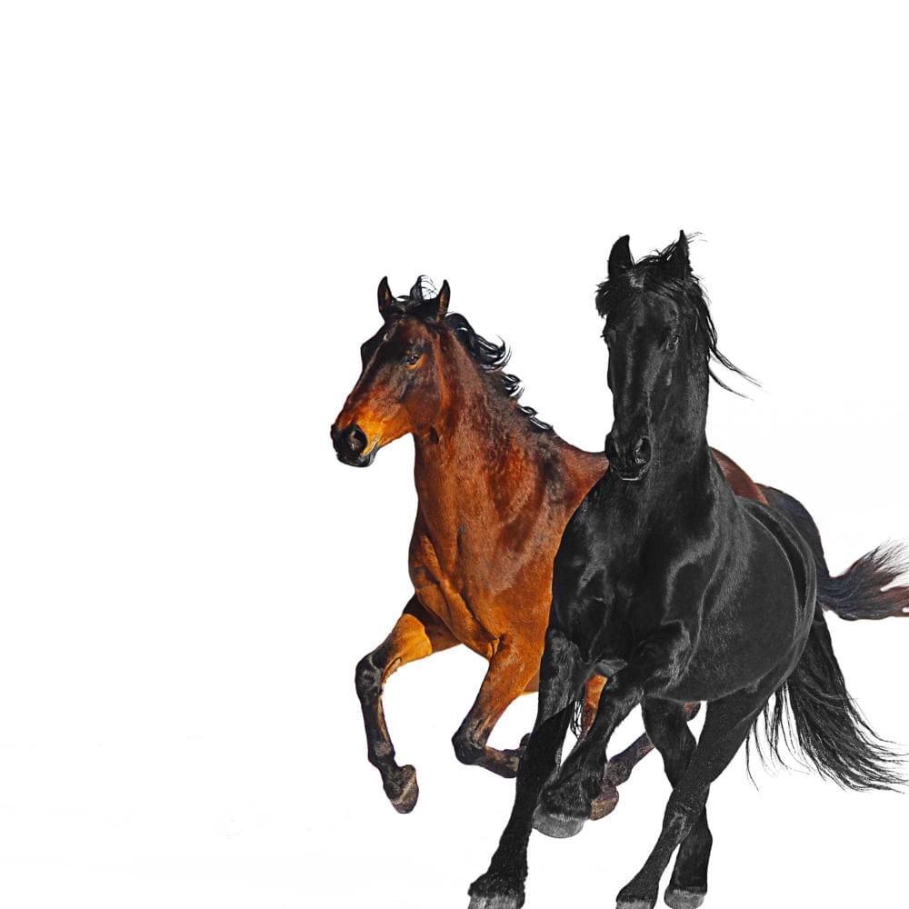 lil nas x old town road cd